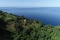 Property For Sale: 30 acres Beachfront Property For Sale Coulls Bay RefGFFFP349